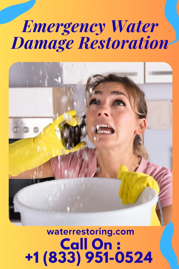 Emergency Water Damage Restoration in Manitowoc, WI