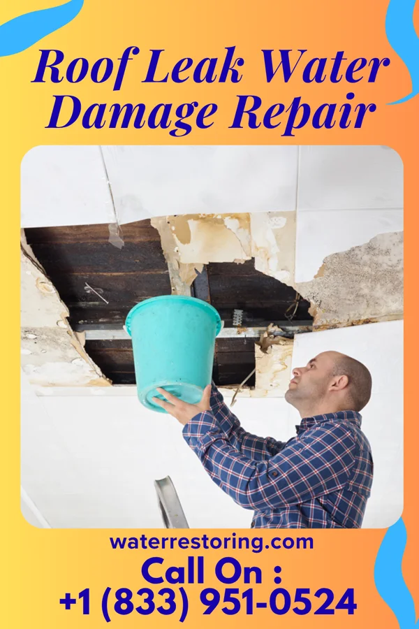 Roof Leak Water Damage Repair in Manitowoc, WI