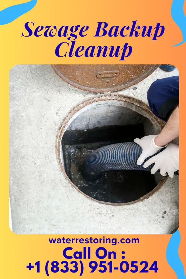 Sewage Backup Cleanup in Manitowoc, WI